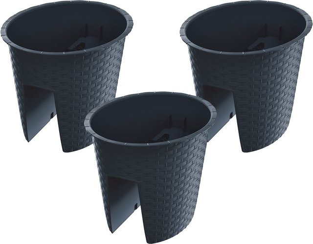 PROSPERPLAST Geländertopf Ratolla Railing 3er Set in Anthrazit, oval mit Rattangeflecht-Optik, B: 29,8 cm, T: 24,2 cm, H: 22,5 cm - Bild 1