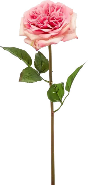 Künstliche Rose Fleur von Aplanta, Höhe: 60 cm - Bild 1
