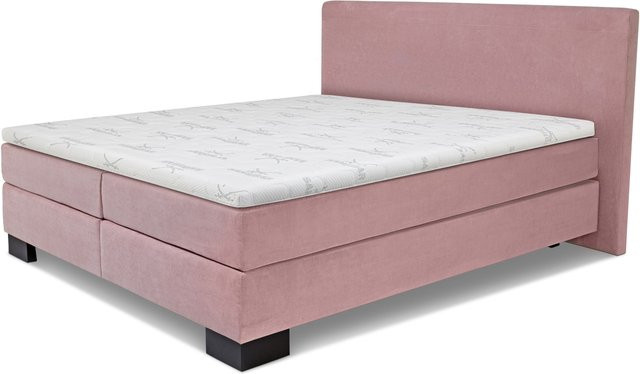 Boxspringbett SANSIBAR Langeoog in Pink mit Stoffbezug und Taschenfederkern, B/T: 160 x 200 cm - Bild 1