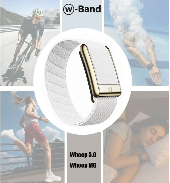 MG Uhrenarmband Nylon-Gewebe-Elastikband, Silber, Unisex - Bild 1