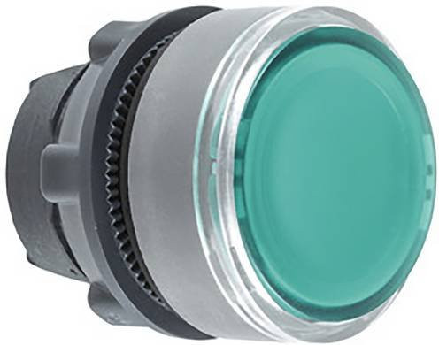 Schneider Electric ZB5AA38C0 Drucktaster-Frontelement aus Kunststoff in Grün und Grau mit IP69K Schutzart - Bild 1