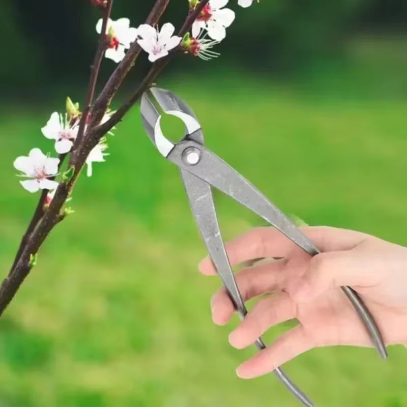 SUITU Bonsai-Styling-Werkzeug-Set mit diagonaler Gartenschere und Gabel-Astschere in Silber und Grau - Bild 2