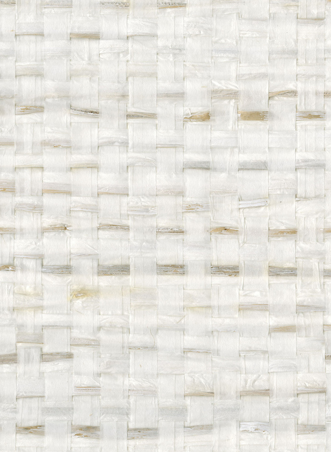 Omexco Tapete Shades of Pale SOP1031 in Weiß mit abstraktem Naturdesign - Bild 1