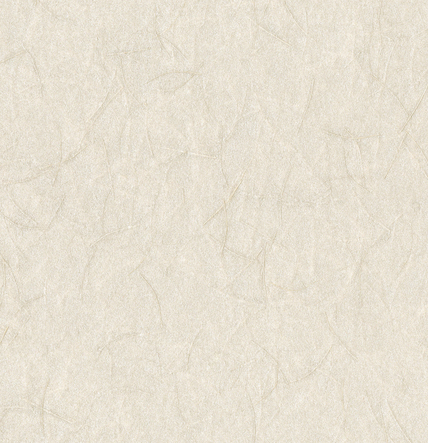 Omexco Tapete SOP310 Shades of Pale Beige Abstract Non-Woven - Bild 1