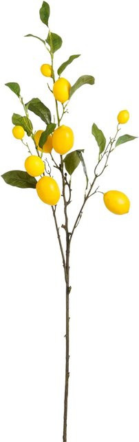 Mica Decorations Kunstpflanze Zitronenzweige in Gelb, Höhe: 104 cm - Bild 1