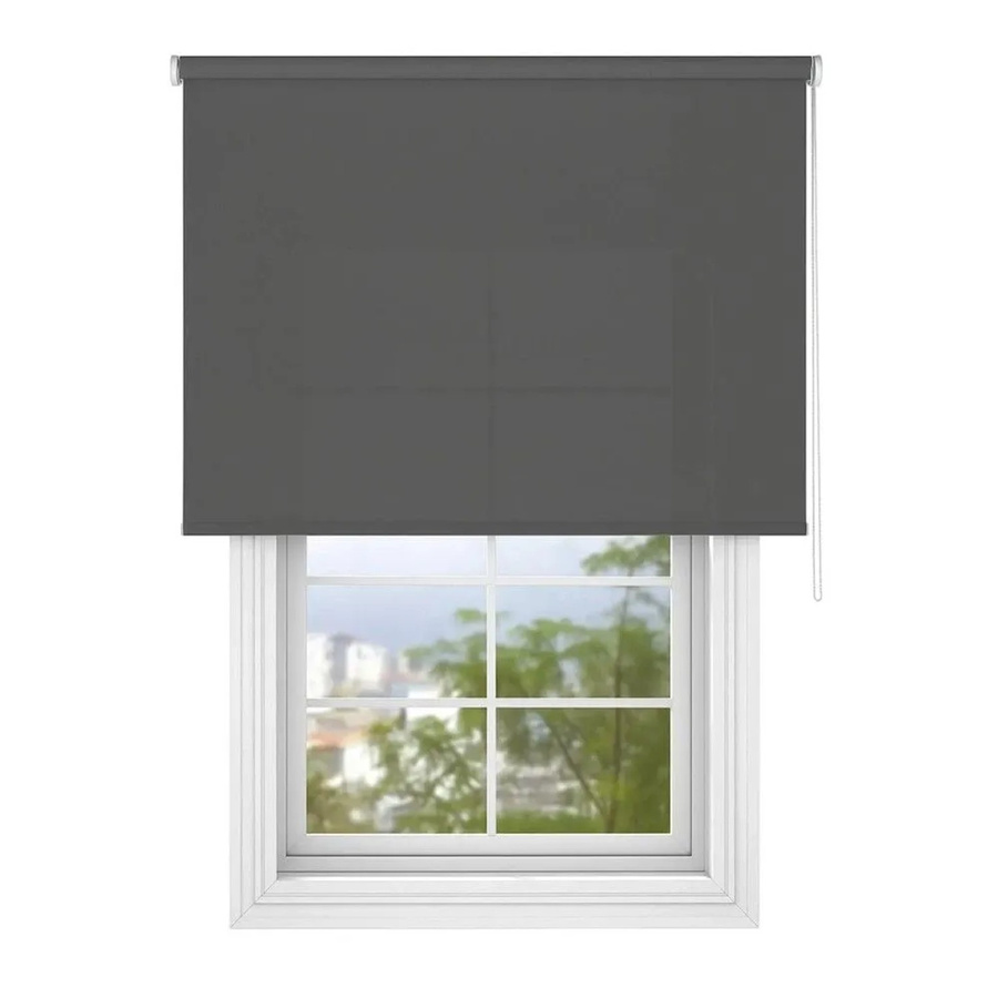 Deco-Raum Tageslicht-Rollo Basic halbtransparent Dunkelgrau B: 100 cm, H: 210 cm - Bild 2