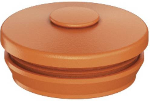 Spelsberg Doppelmembranstutzen in Orange aus Kunststoff - Bild 1