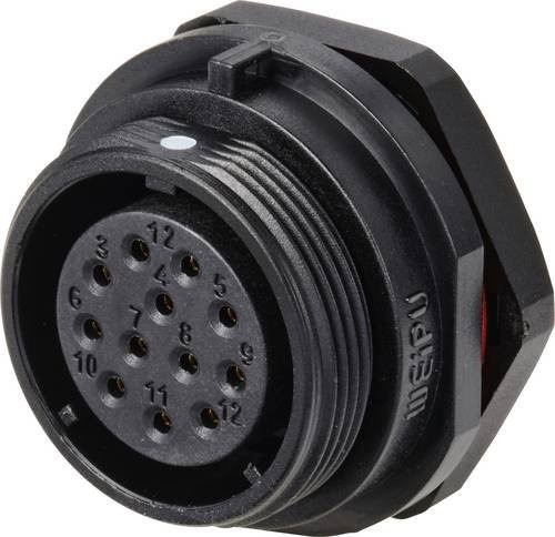 Weipu SP2112 / S 12 Rundstecker Buchse Einbau 12-polig Schwarz - Bild 1