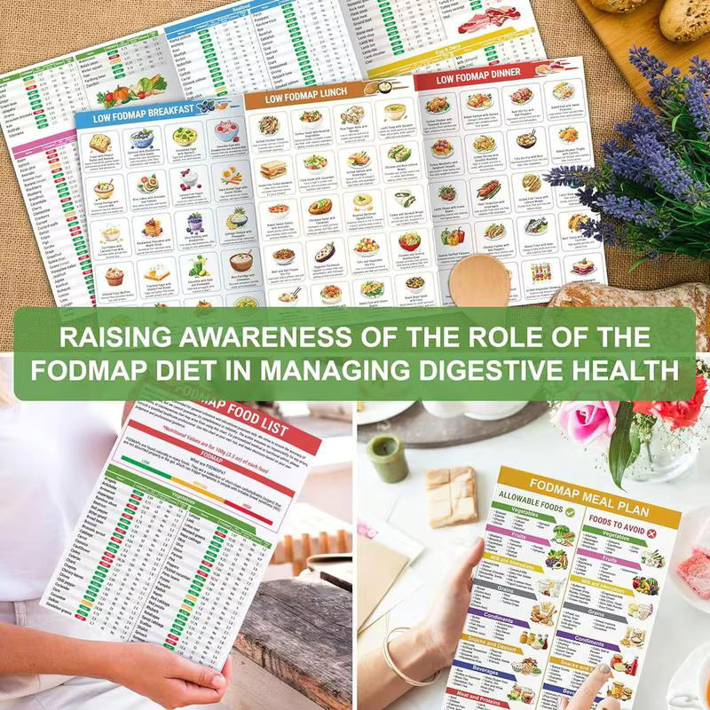 Fodmap-Diätliste als bedruckbarer Ernährungsführer und pädagogisches Poster mit Rezepten für Erwachsene in Mehrfarbig - Bild 3