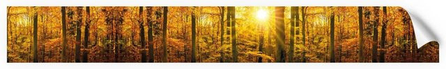 Myspotti Küchenrückwandfolie Herbstwald Selbstklebend, Multicolor, B: 450 cm, H: 60 cm - Bild 1