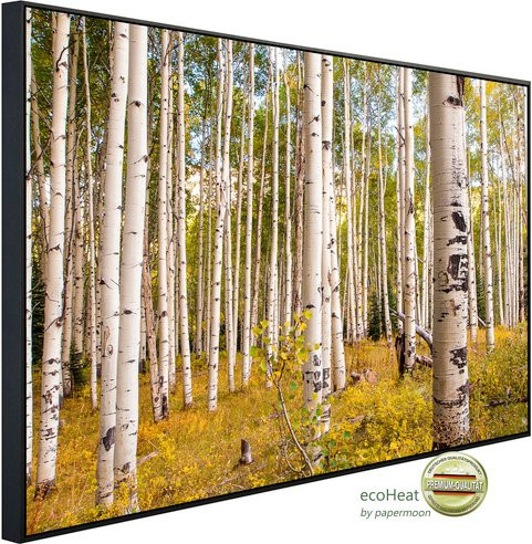 papermoon Infrarotheizung EcoHeat Birken in Colorado Rocky Mountain mit Matt-Effekt in Bunt, App-Steuerung und Überhitzungsschutz - Bild 1