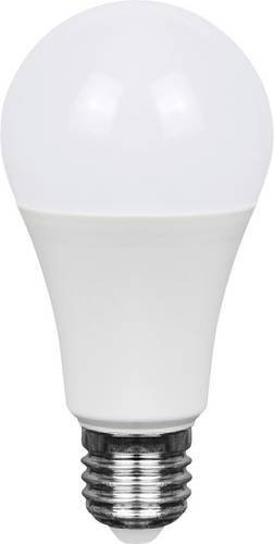 V-TAC LED Leuchtmittel A60 E27 10,5W mit 6500K Cool White, Energieeffizienzklasse F - Bild 1