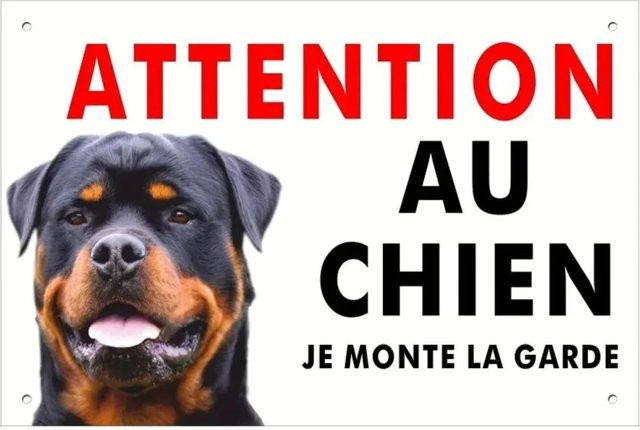 CIFBUY Metall-Wandkunst Rottweiler Rustikales Aluminiumschild für Wohnzimmer und Dekoration, Breite: 20,32 cm, Höhe: 30,48 cm - Bild 1