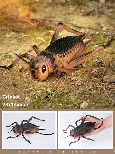 Simulations-Insektenfiguren, Tiere, Kunststoff, Bunt / Mehrfarbig, Braun - Bild 1