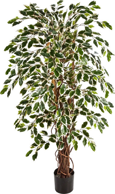 Künstlicher Ficus Ismael von Aplanta, Höhe: 120 cm - Bild 1
