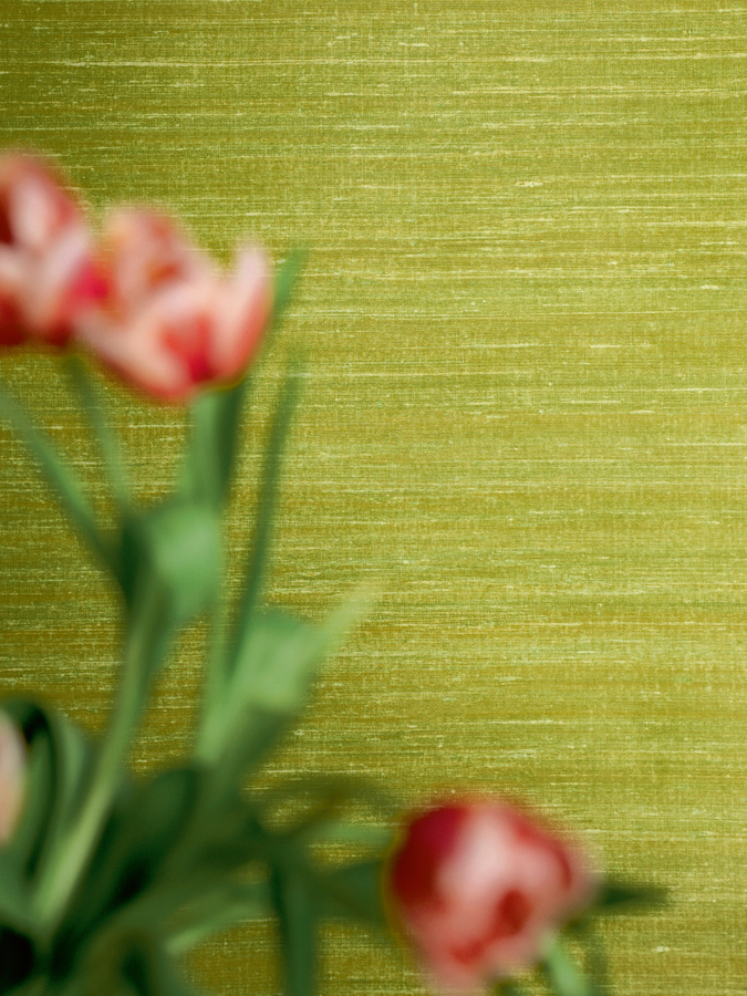 Élitis Wallpaper Kosa Silk VP 928 63, abstrakte Vliestapete in Grün, matt und waschbar - Bild 1