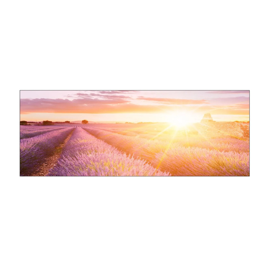 MySpotti Küchenrückwand Profix Cucina Provence in Lavendelviolett, B: 160 cm, H: 60 cm - Bild 1