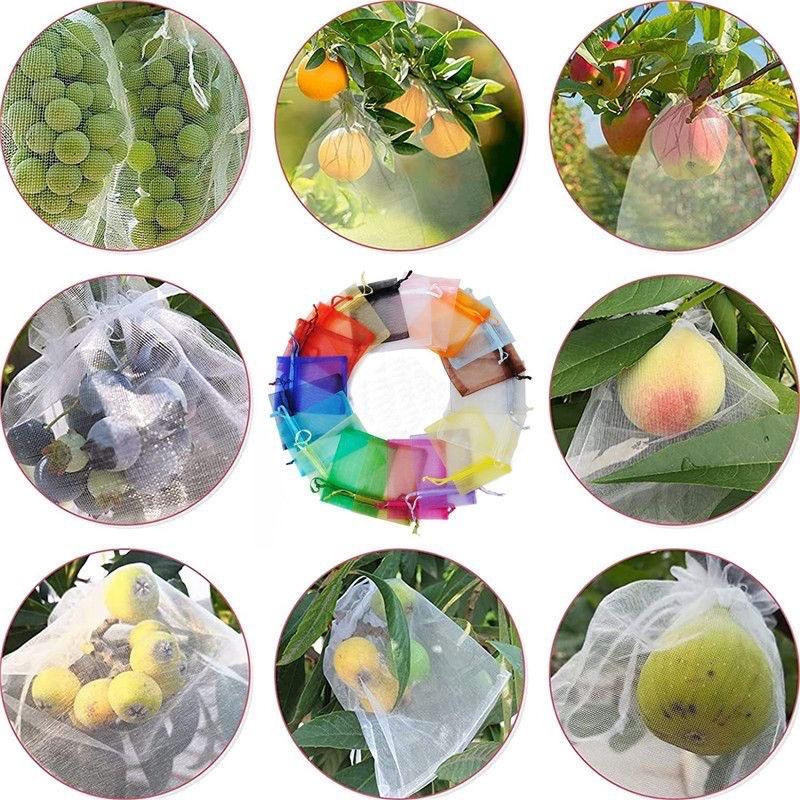 WIKHOSTAR Obstschutzbeutel aus Mesh zur Schädlingsbekämpfung und als Anti-Vogel-Schutz für Trauben und Gartenobst - Bild 2