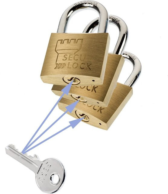 Burg Wächter Vorhangschloss-Set Trio 405 40 SB in Gold mit Schlüssel - Bild 1