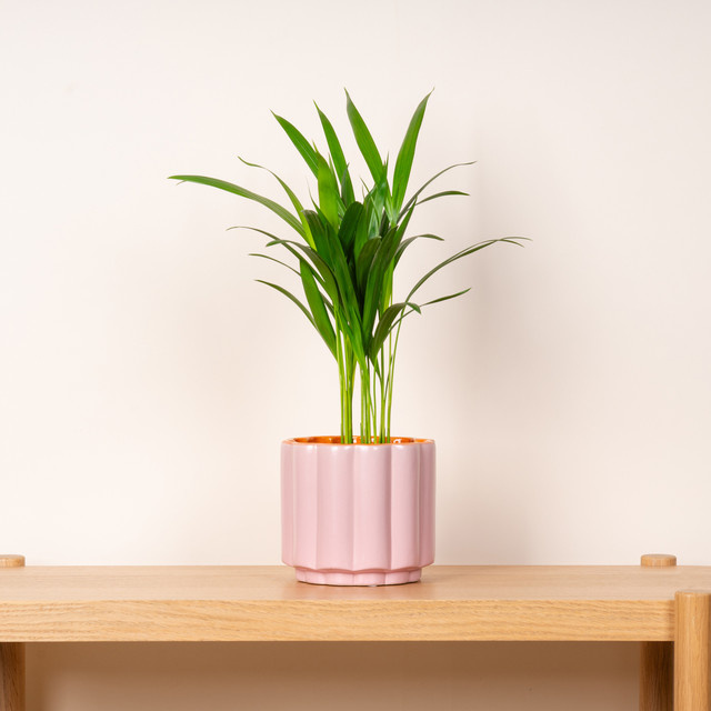 Keramik Übertopf BLUME2000 in Pink mit Wellenstruktur und organischem Design, Höhe: 14,0 cm, Breite: 12,5 cm, Tiefe: 12,5 cm - Bild 1