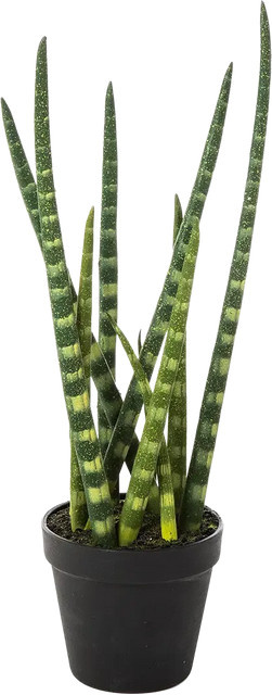 Künstliche Sansevieria Dundee von Aplanta als Sukkulente für den Tisch in Topf, Höhe: 42 cm - Bild 1