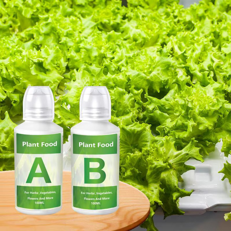 Hydroponische Pflanzen-Nährstofflösung Set A und B für erdlose Anbau von Blumen und Obst, 2 Stück - Bild 1
