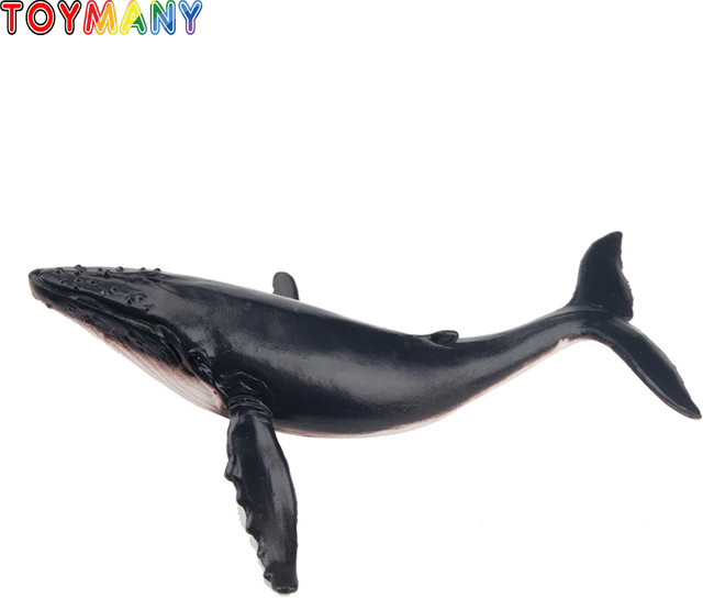 Toymany Buckelwal Ozean Tier Modell, Action Figuren, Kunststoff - Bild 1