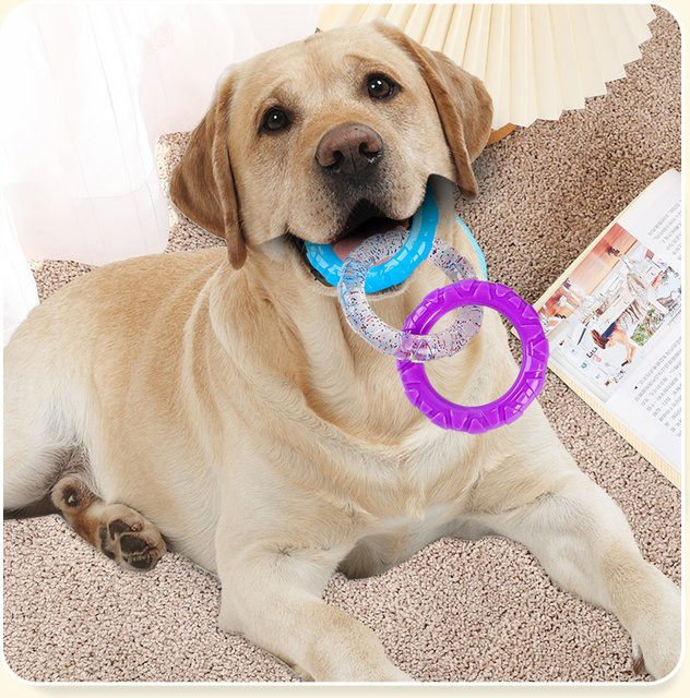 Qzee Hundespielzeug, Ringzieher, undichte Bälle, zum Kauen, bissfest - Bild 1