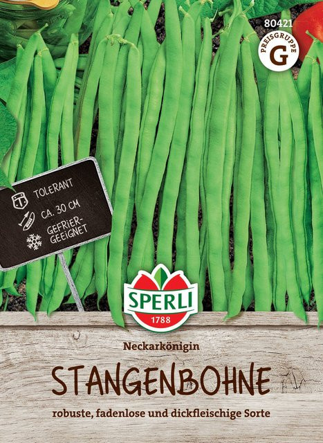 SPERLI Stangenbohnen-Samen Neckarkönigin - Bild 1