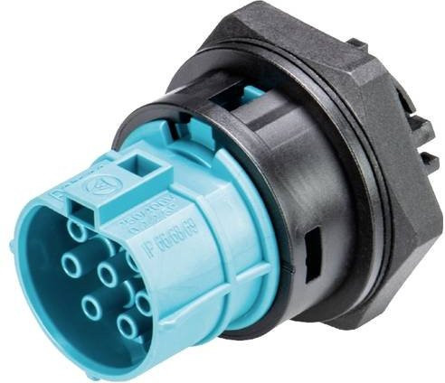 Wieland Electric Geräteanschluss 9L.171.2353.6 in Türkis und Blau - Bild 1