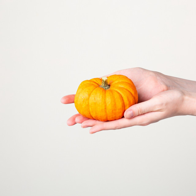 Mini Kürbis Jack be Little Zierkürbis Orange von BLUME2000 für Herbst und Halloween - Bild 1
