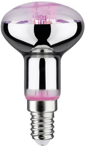 Paulmann LED-Pflanzenlampe Wachstum Bernstein mit E14 Sockel und 4 W Leistung - Bild 1