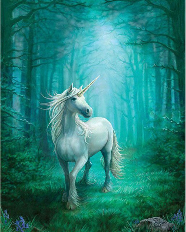FIYO 5D Diamantmalerei DIY Einhorn Mosaik-Set mit Tierprint, mehrfarbig, B x H: 20 x 30 cm - Bild 1