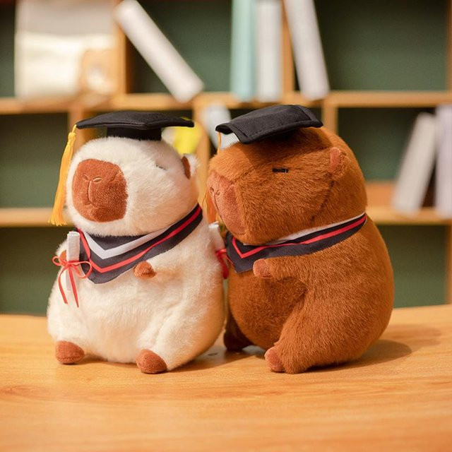 Yiran toy Capybara Plüschtier, Tier, Bunt / Mehrfarbig, 23cm - Bild 1