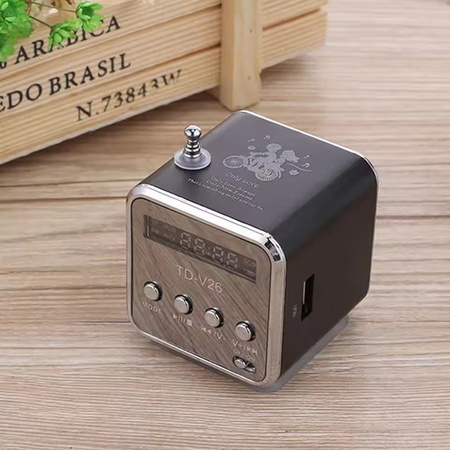 AyeBeau Kabelloser Bluetooth-Lautsprecher mit FM-Radio und MP3-Funktion in Schwarz