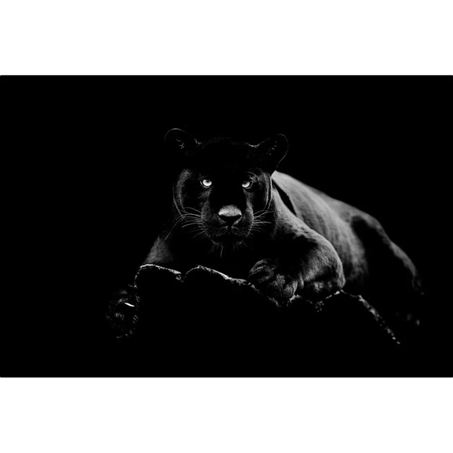 Art Universe Glasbild Panther Modern Schwarz B: 80 cm, H: 120 cm - Bild 2