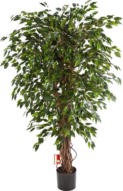 Künstlicher Ficus Juna von artplants in Grün, Höhe: 120 cm - Bild 1