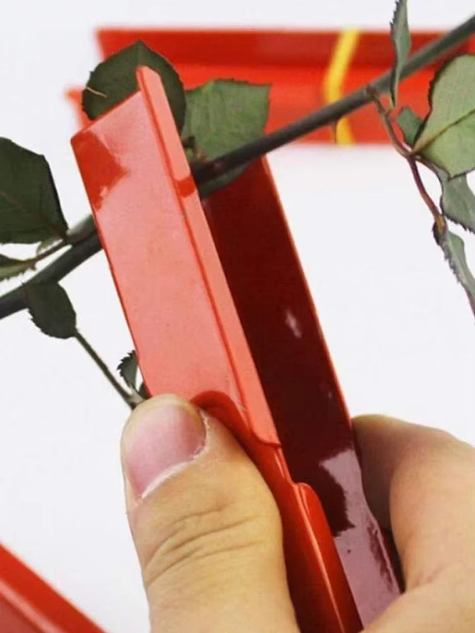 FATCOOL Gartenwerkzeug Dornenzange in Rot zur Entfernung von Dornen und Blättern bei Rosen und Zweigen - Bild 5