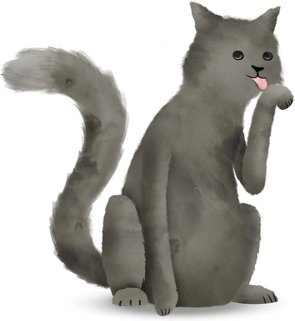 Komar Wandbild Cute Cat Poster aus Qualitätsvlies, Breite: 50 cm, Höhe: 70 cm - Bild 1