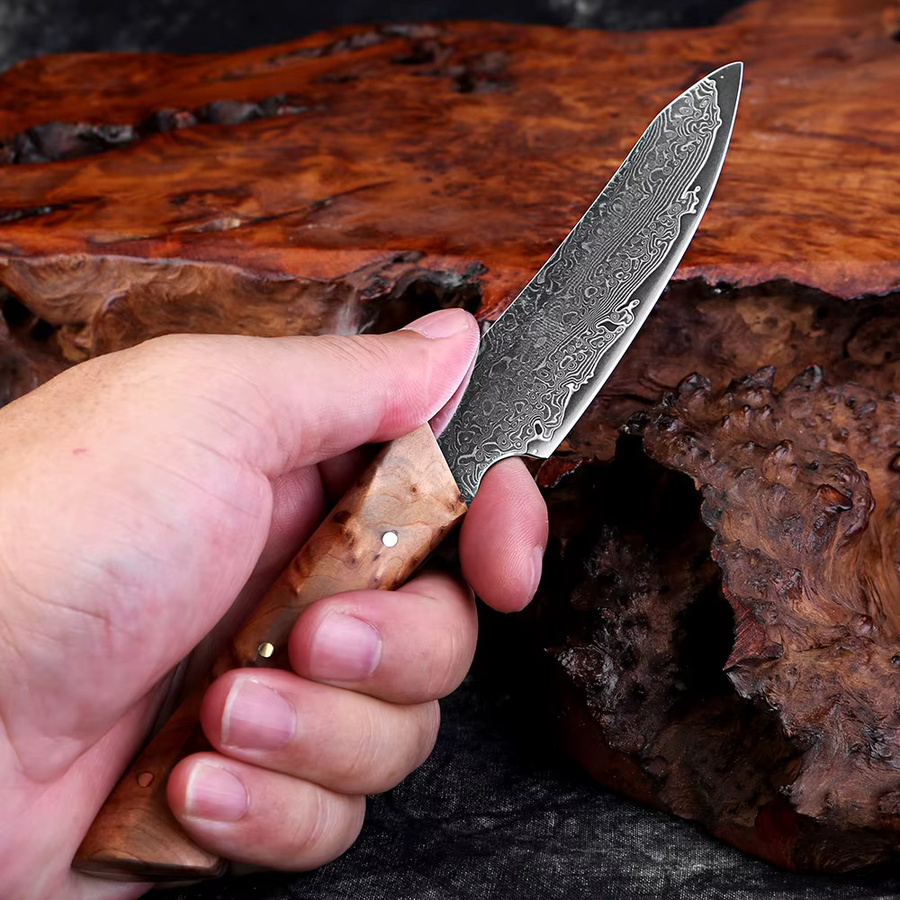 Xituo Damaskus Schälmesser mit VG10-Klinge und Holzgriff, 3,5 Zoll japanisches Obstmesser in Vollklang-Ausführung - Bild 3