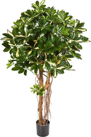 Künstlicher Schefflera Kunstbaum Aplanta Owen Höhe: 110 cm