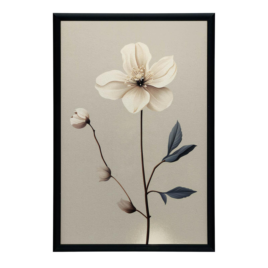 iKable Wandbild Weiße Anemone in minimalistischem Design, Rahmen Holz Dunkelbraun, B: 30 cm, H: 40 cm - Bild 2
