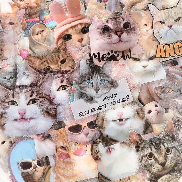 Kpustyle Cartoon Katze Meme Graffiti Aufkleber transparent multicolor für Laptop Telefon und Scrapbooking - Bild 1