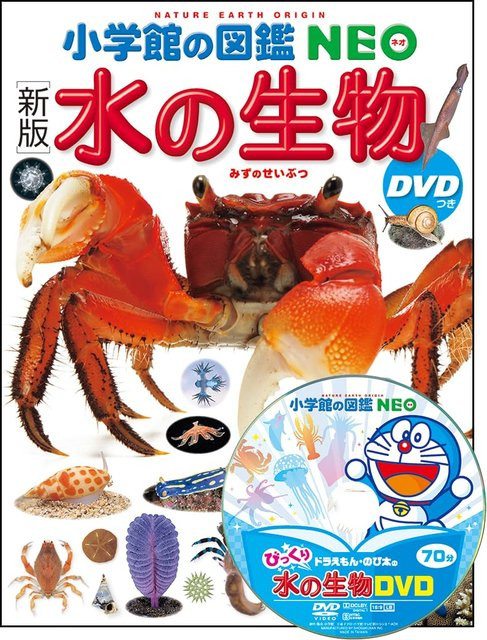 Wassertiere, NEO Enzyklopädie, Shogakukan, DVD, Neue Ausgabe - Bild 1