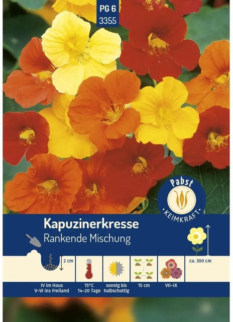 Pabst Keimkraft Kapuzinerkresse Saatgut Rankende Mischung - Bild 1
