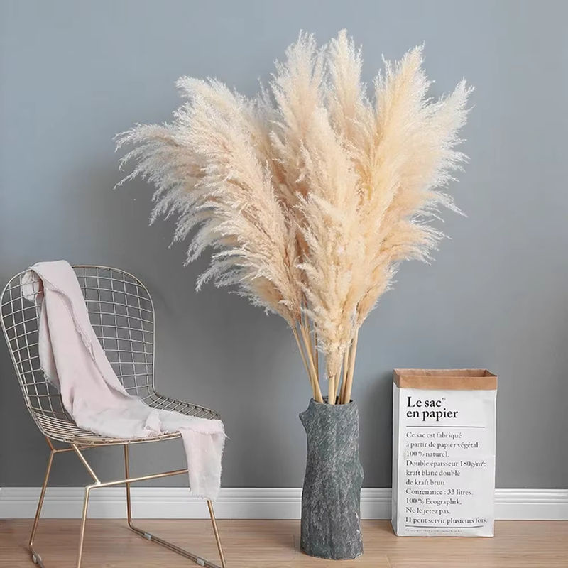 GARCIA Pampasgras beige, natürlicher getrockneter Blumenstrauß für Boho-Hochzeitsdekoration und Vintage-Heimdekoration - Bild 2