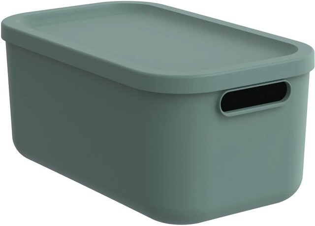 Rotho Multibox Albula 12 Aufbewahrungsbox in Mistletoe Green - Bild 1