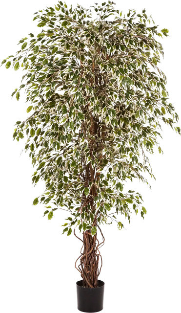 Künstlicher Ficus Jessica von artplants in Grün, Höhe: 90 cm - Bild 1
