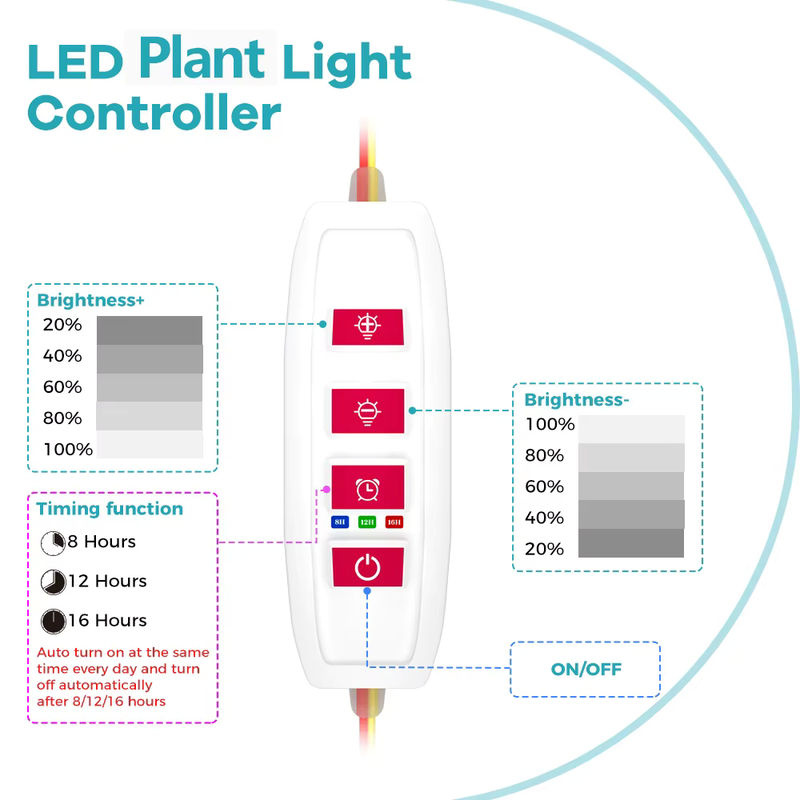 Dimmbares LED-Pflanzenwachstumslicht mit Vollspektrum und Timer für Kaktusblumen und Sukkulenten via USB 5 V - Bild 2