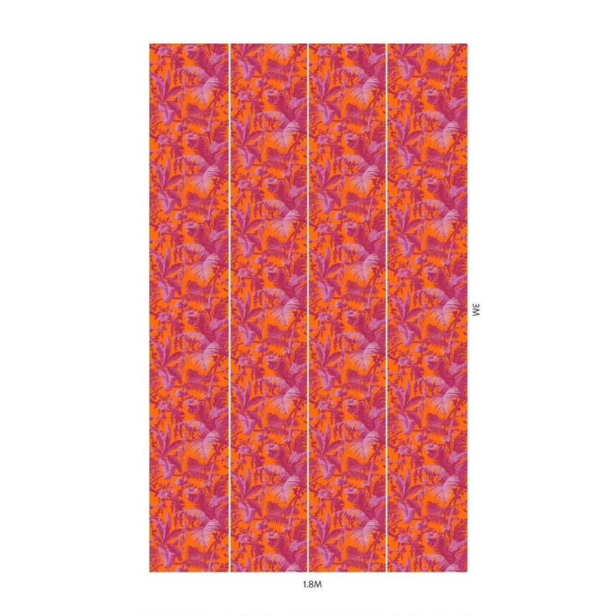 House of Hackney Wandtattoo Mural Pampas Tangerine/Azalea in Orange mit floralem Naturdesign, Vlies Tapete, Breite: 300 cm, Höhe: 45 cm - Bild 1
